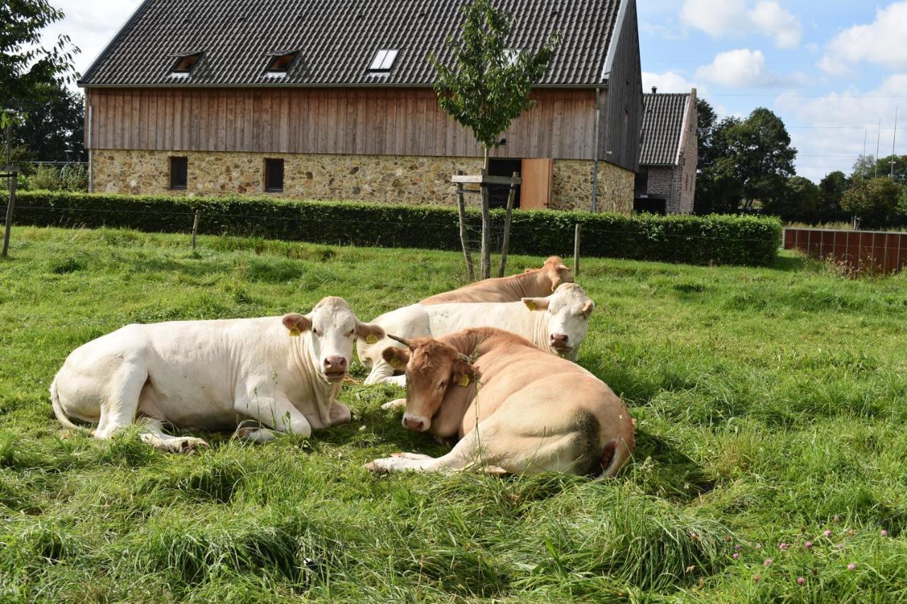 Bed & Breakfast De Oude Limonadefabriek Beek (Limburg)